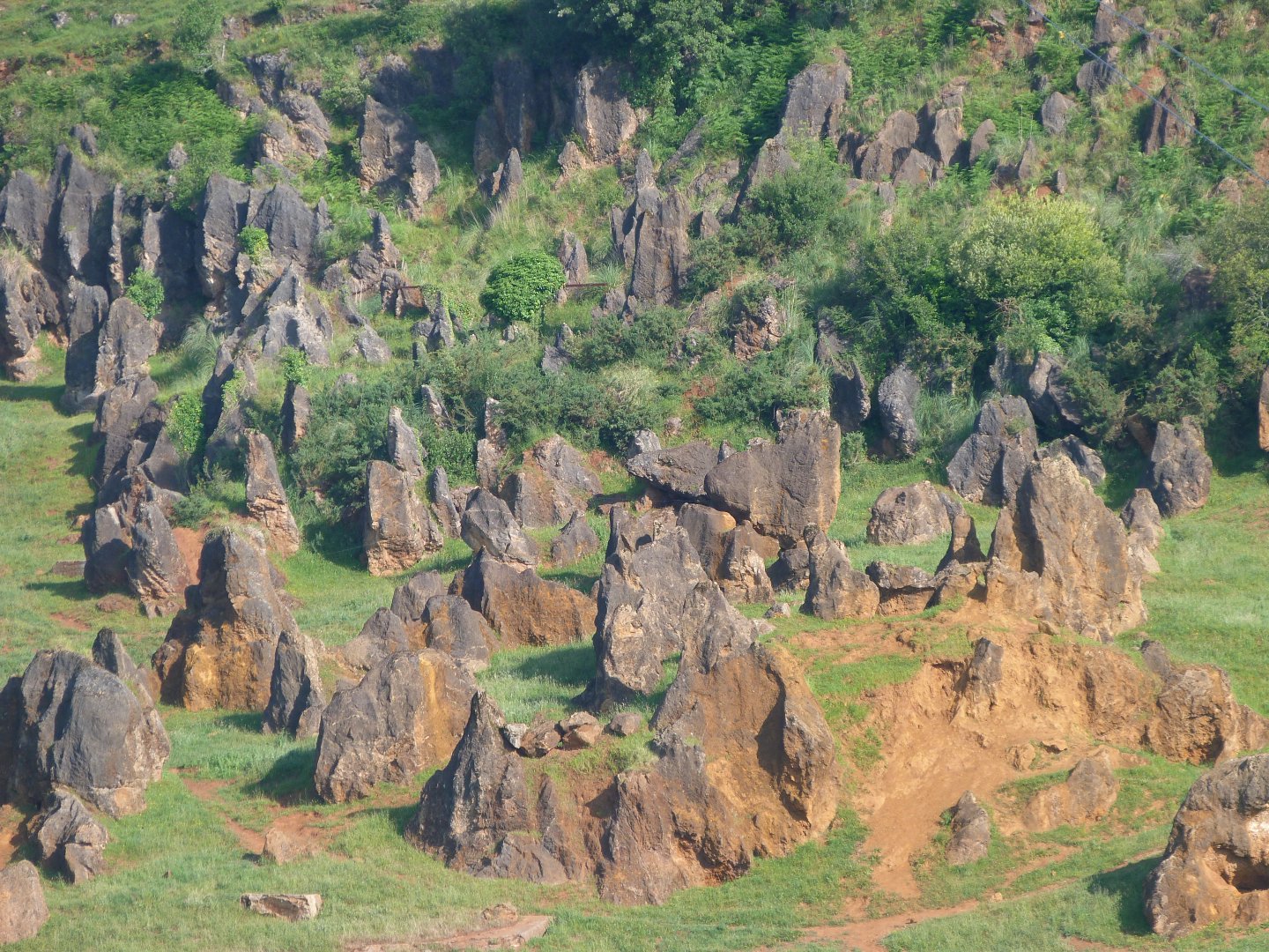 View from elephant exhibit -Parque de la Naturaleza de Cabárceno (2025)