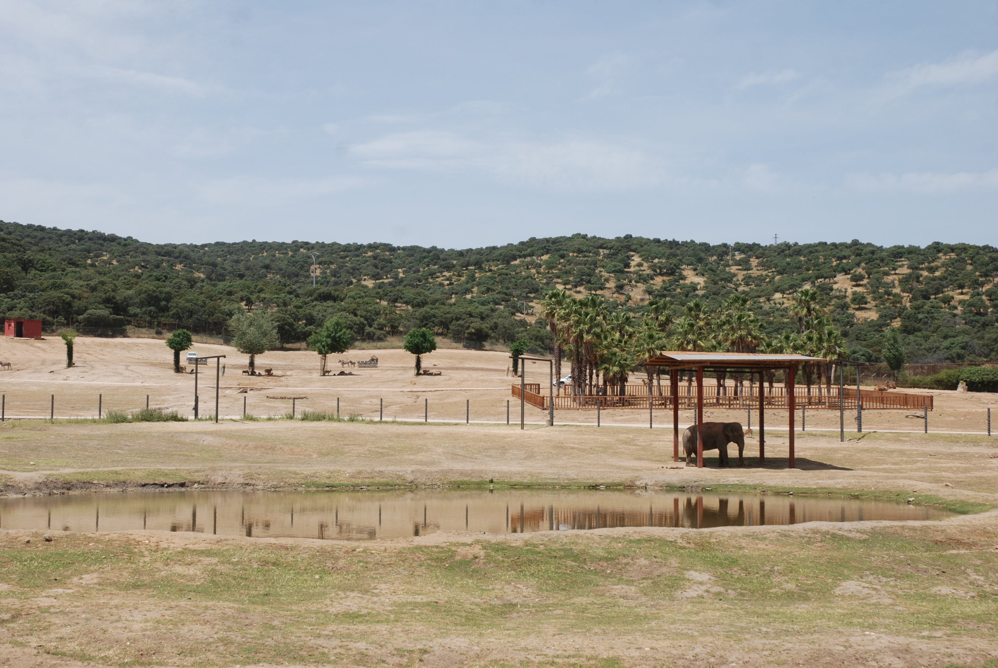 View from Elephant Viewpoint at Safari Madrid, 19th May 2022