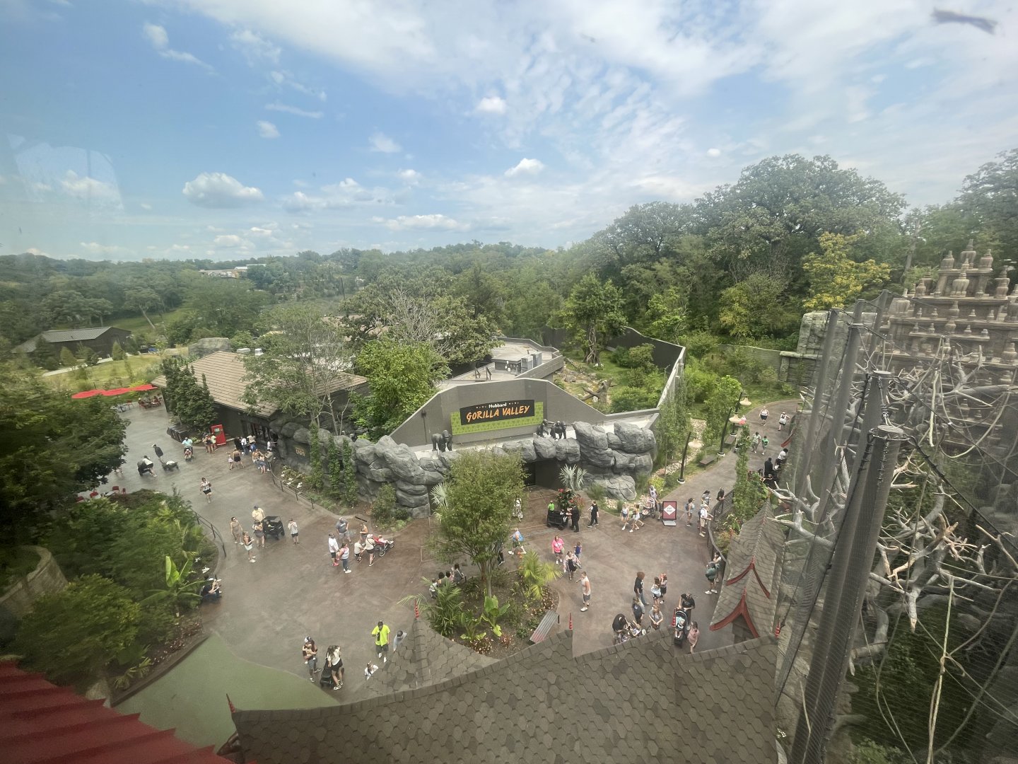 View From Elevator Building