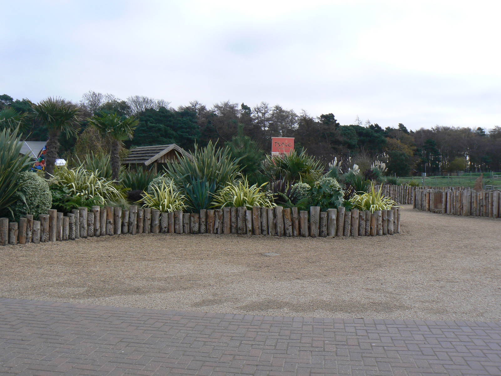 View From Entrance - 22 November 2015