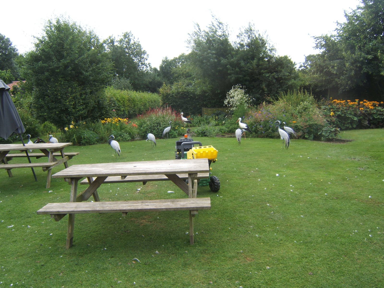View from Entrance building