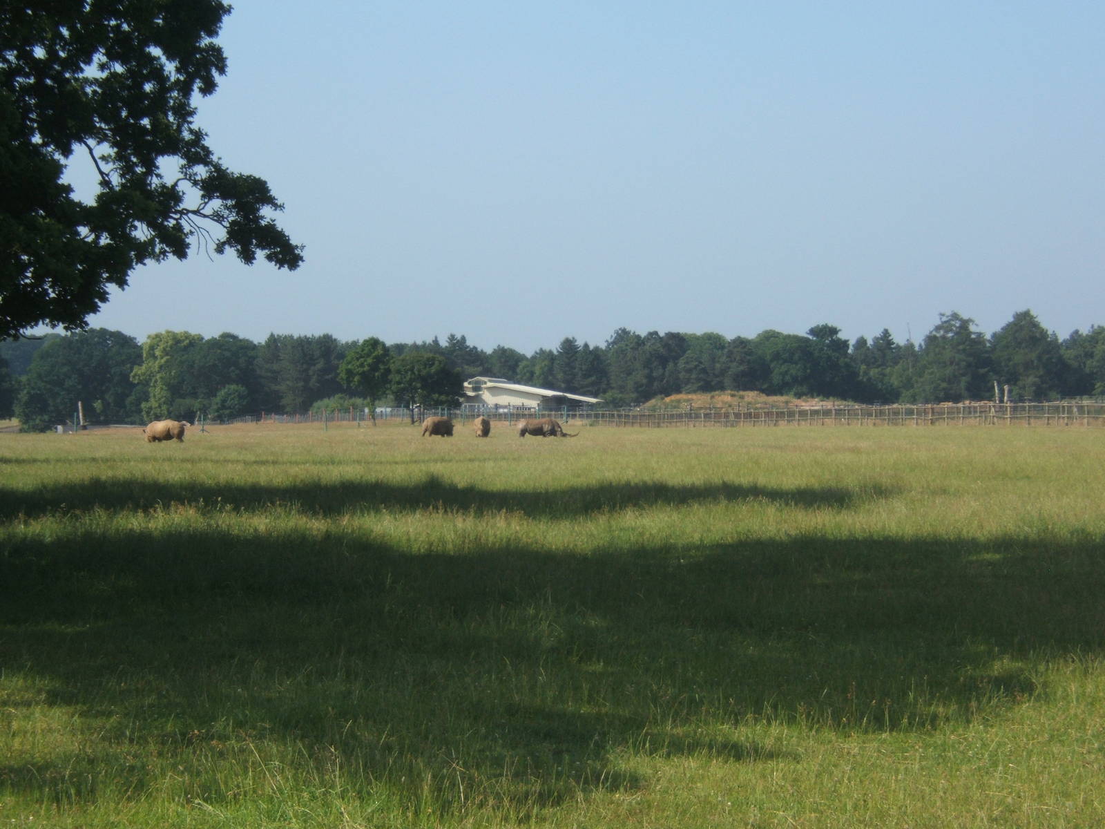 View from entrance towards Elephant House