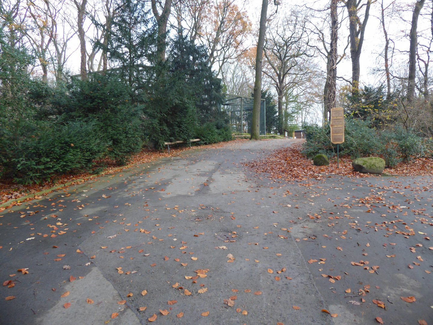 View from entrance towards first bird of prey aviary 021219