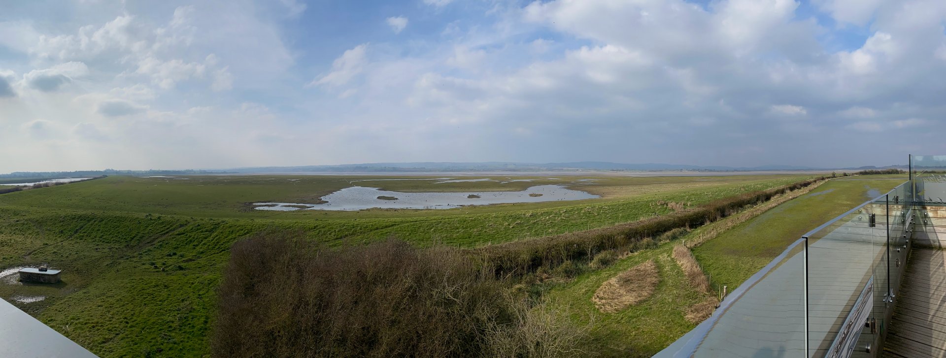 View from Estuary Tower, WWT Slimbridge, UK