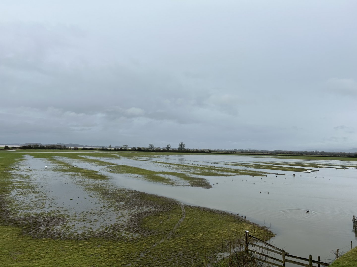 View from Estuary Tower