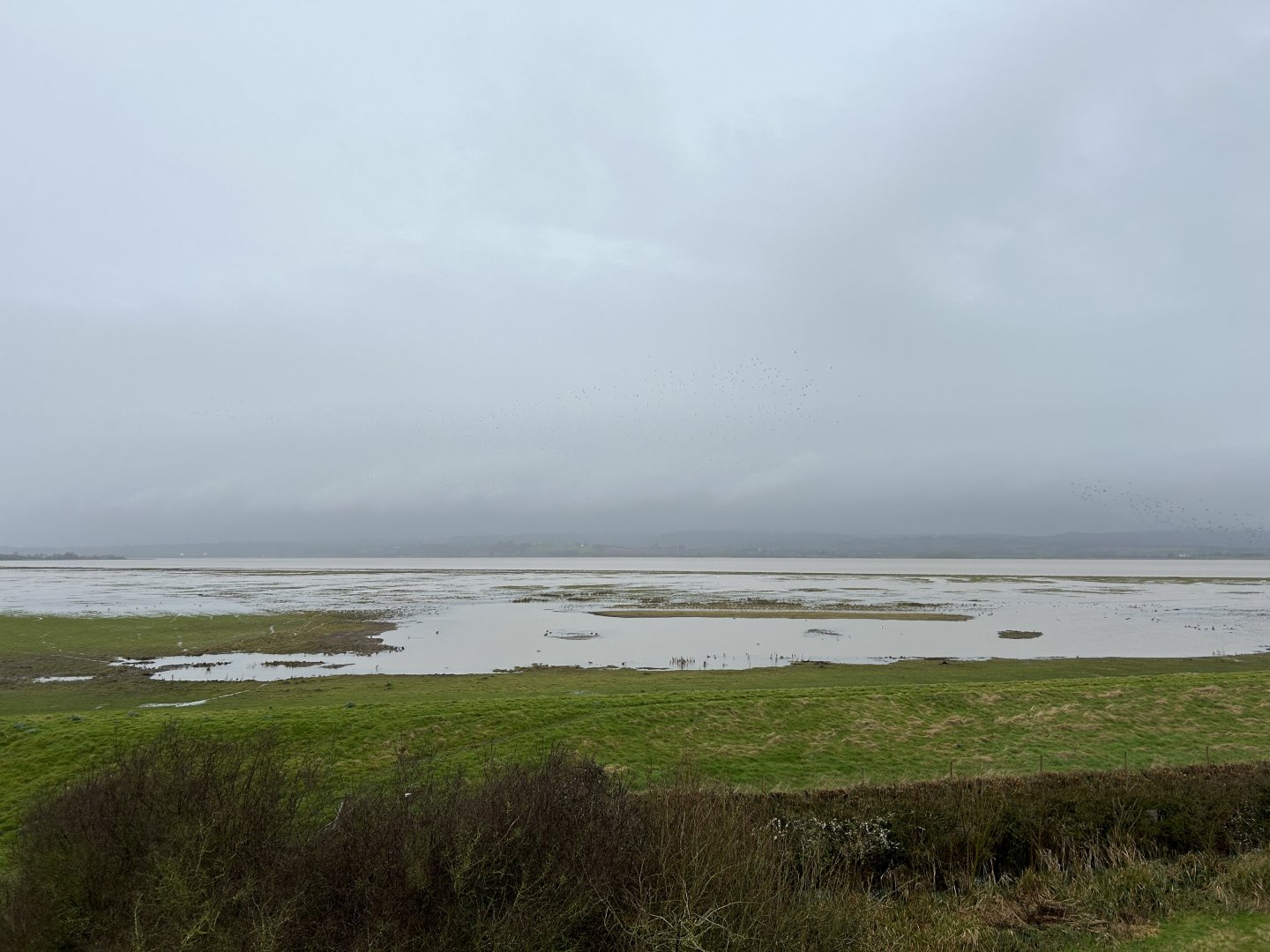 View from Estuary Tower
