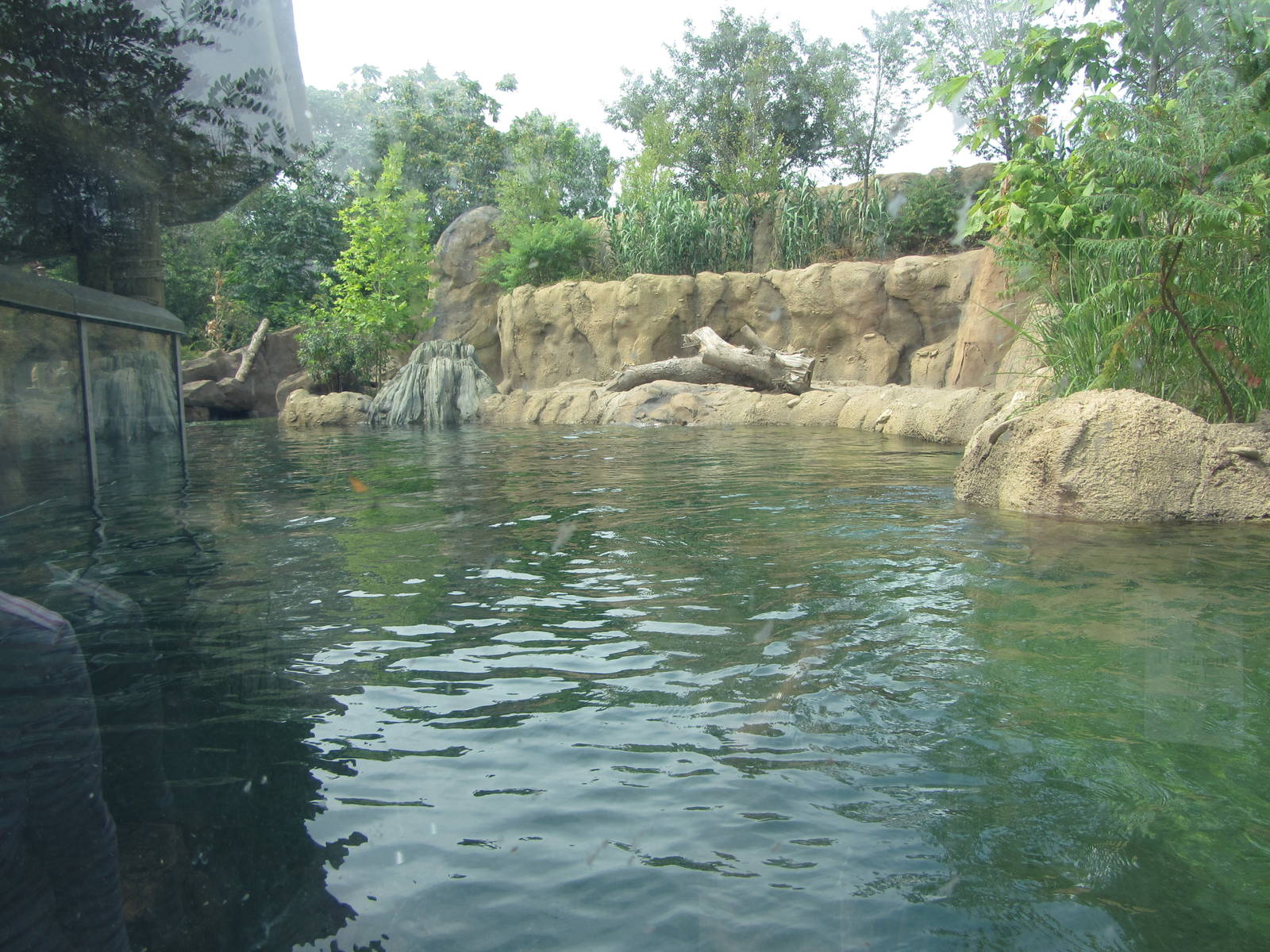 View from First Viewing Window