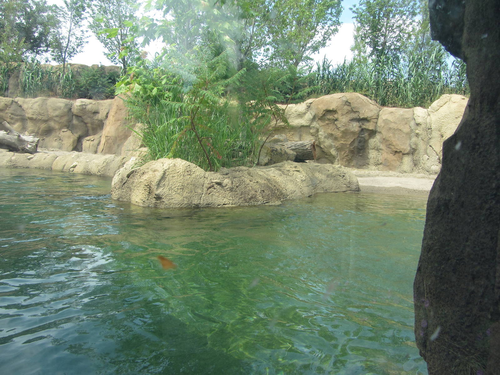 View from First Viewing Window