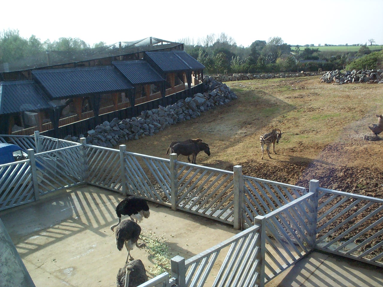 view from gallery edge of Africa