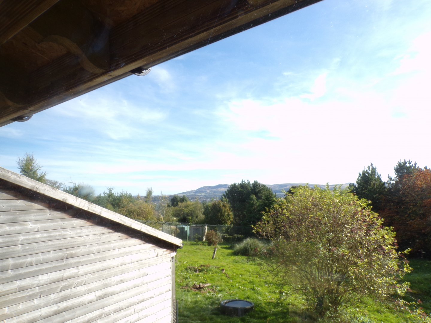 View from giant anteater enclosure 16.9.24