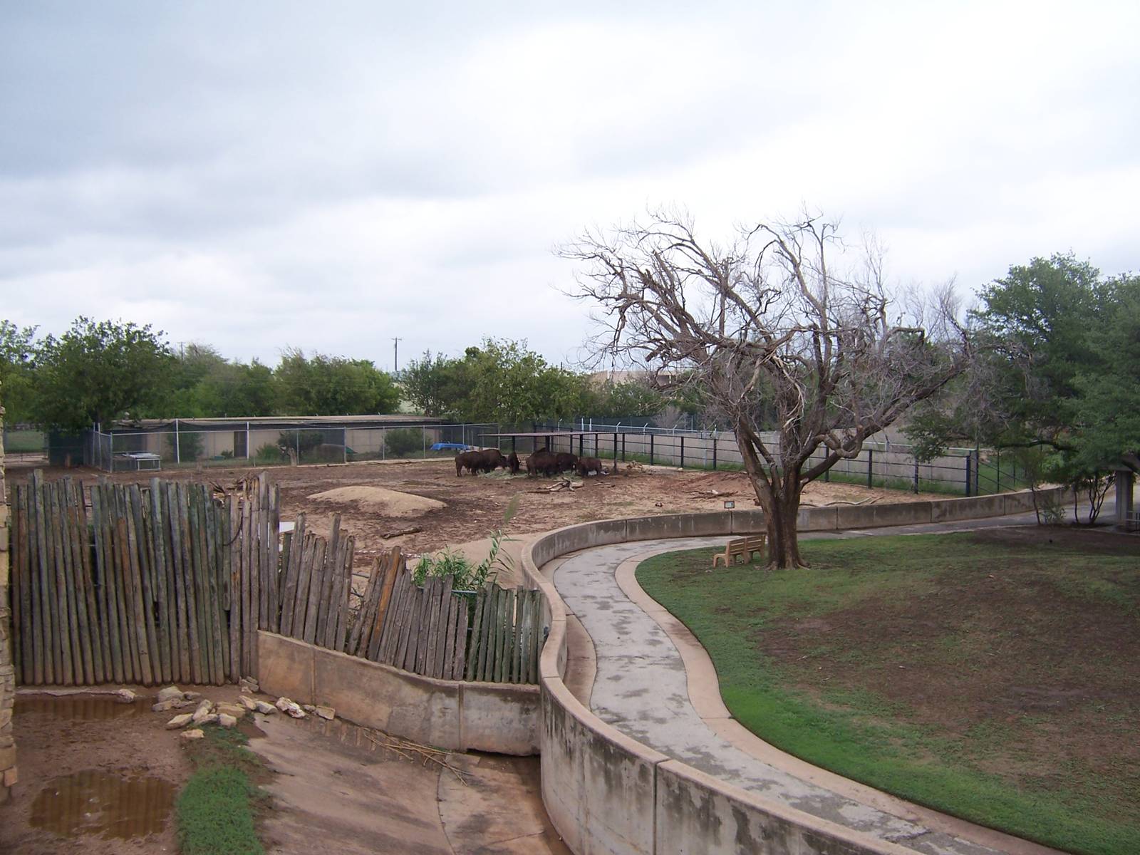 View from Giraffe Bridge