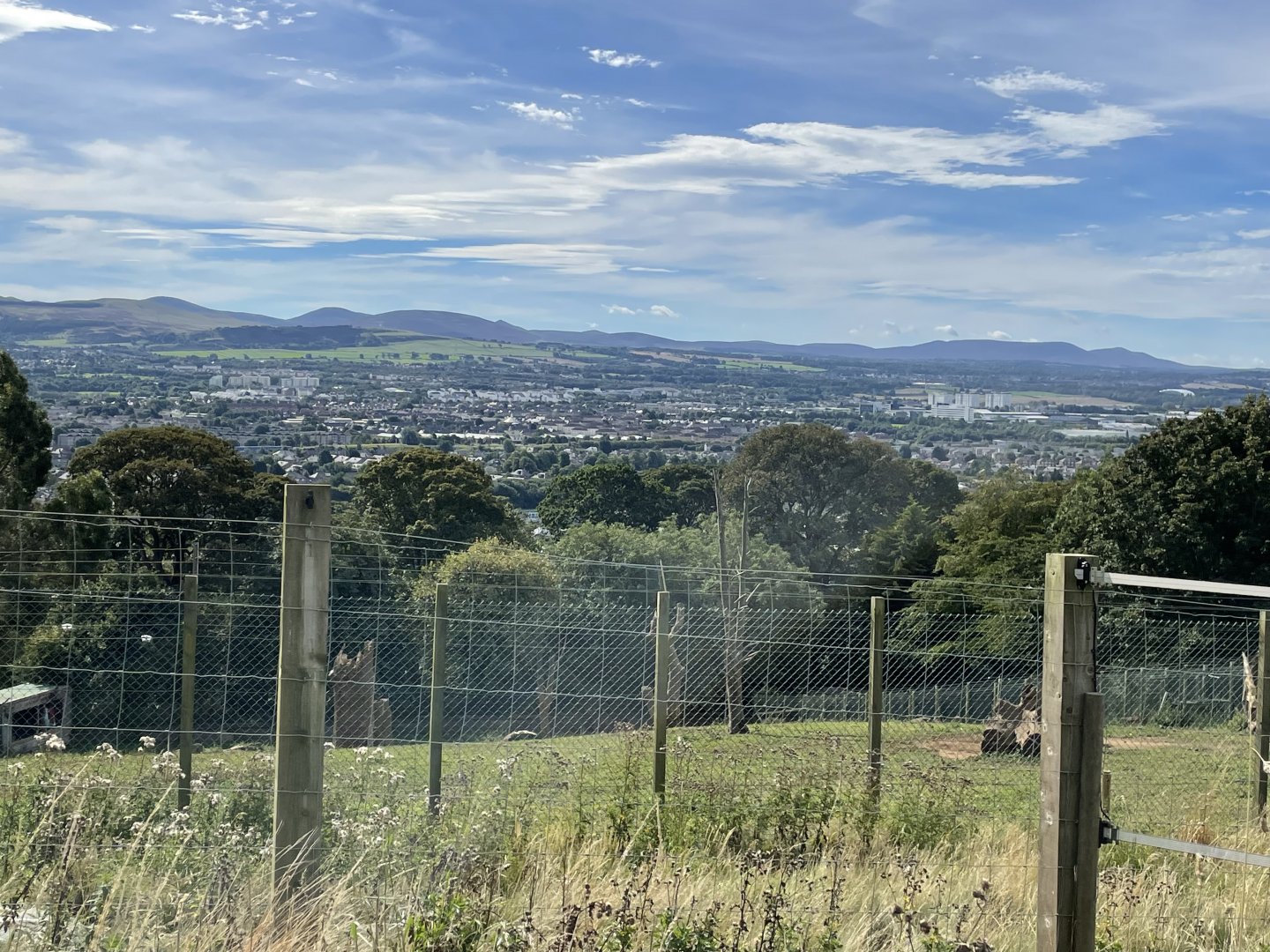 View from Giraffe Paddock
