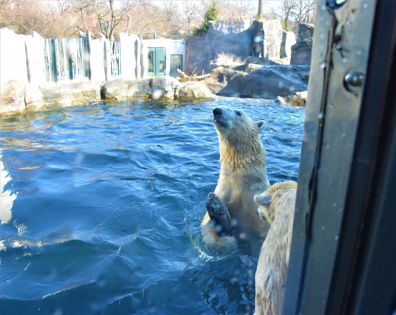 View from glass viewing window at the top of the complex.