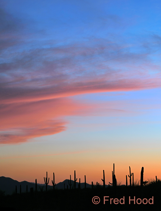 view from grounds at sunset