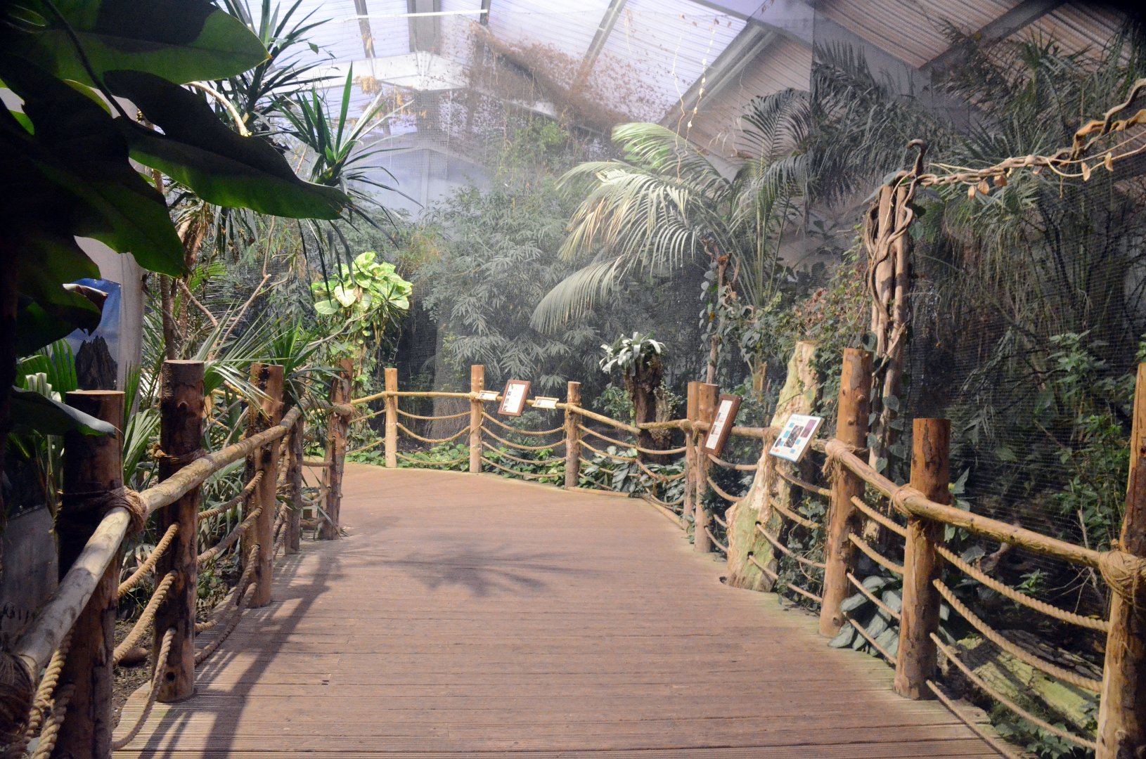 View from inside Dragon's in Danger as you enter the aviary area