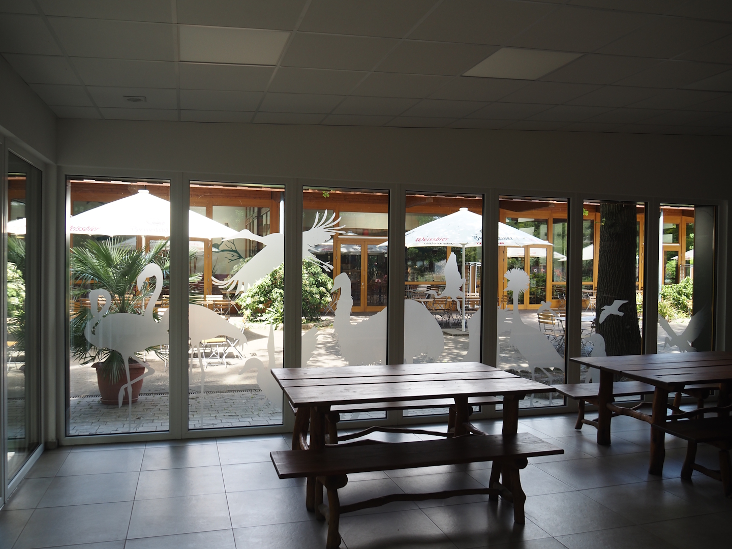View from inside the Aquarium and Terrarium room towards the ZooBistro restaurant, with picnic bench and animal window decals, 2025-05-22