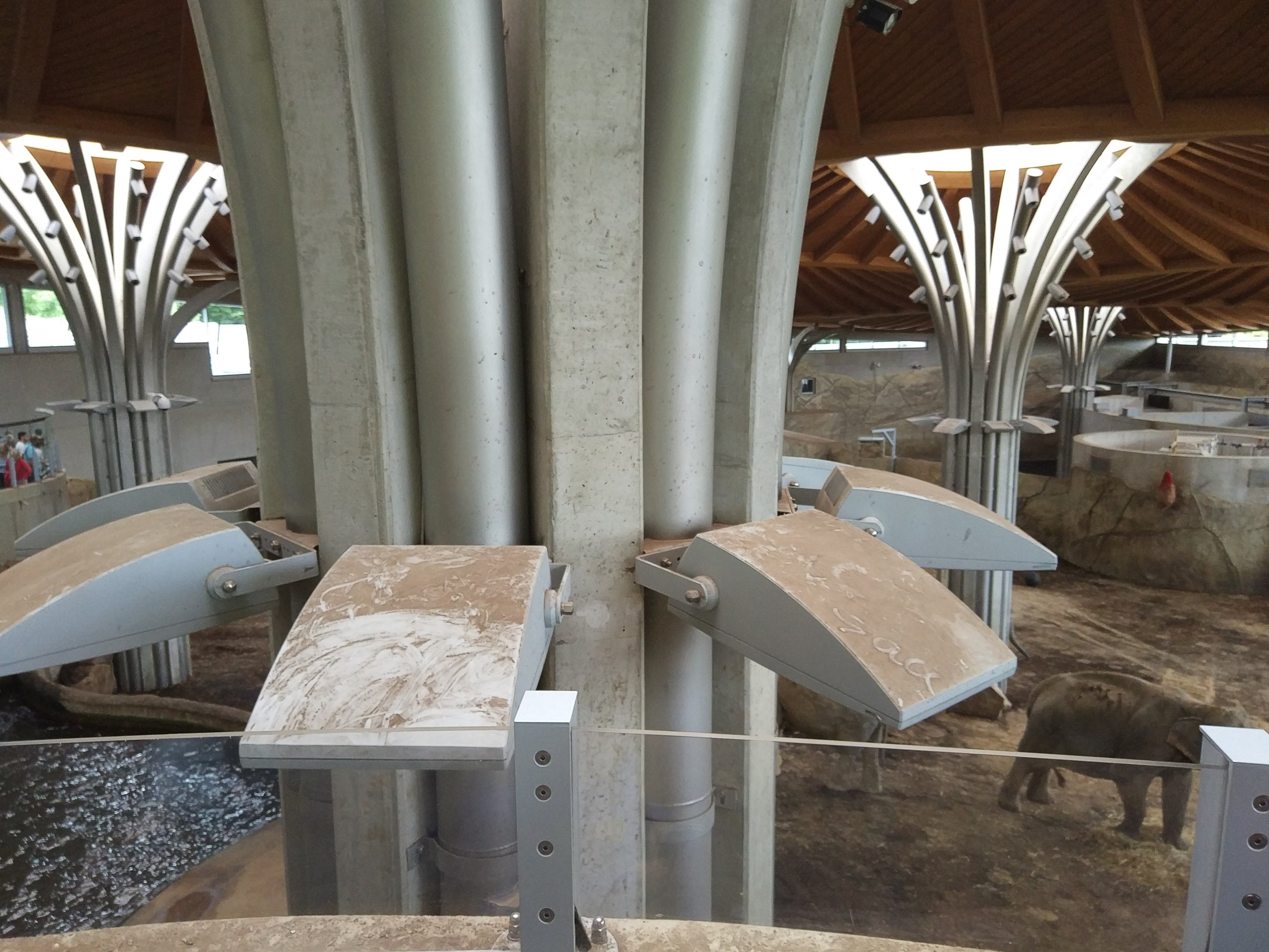 View from inside the Elephant House