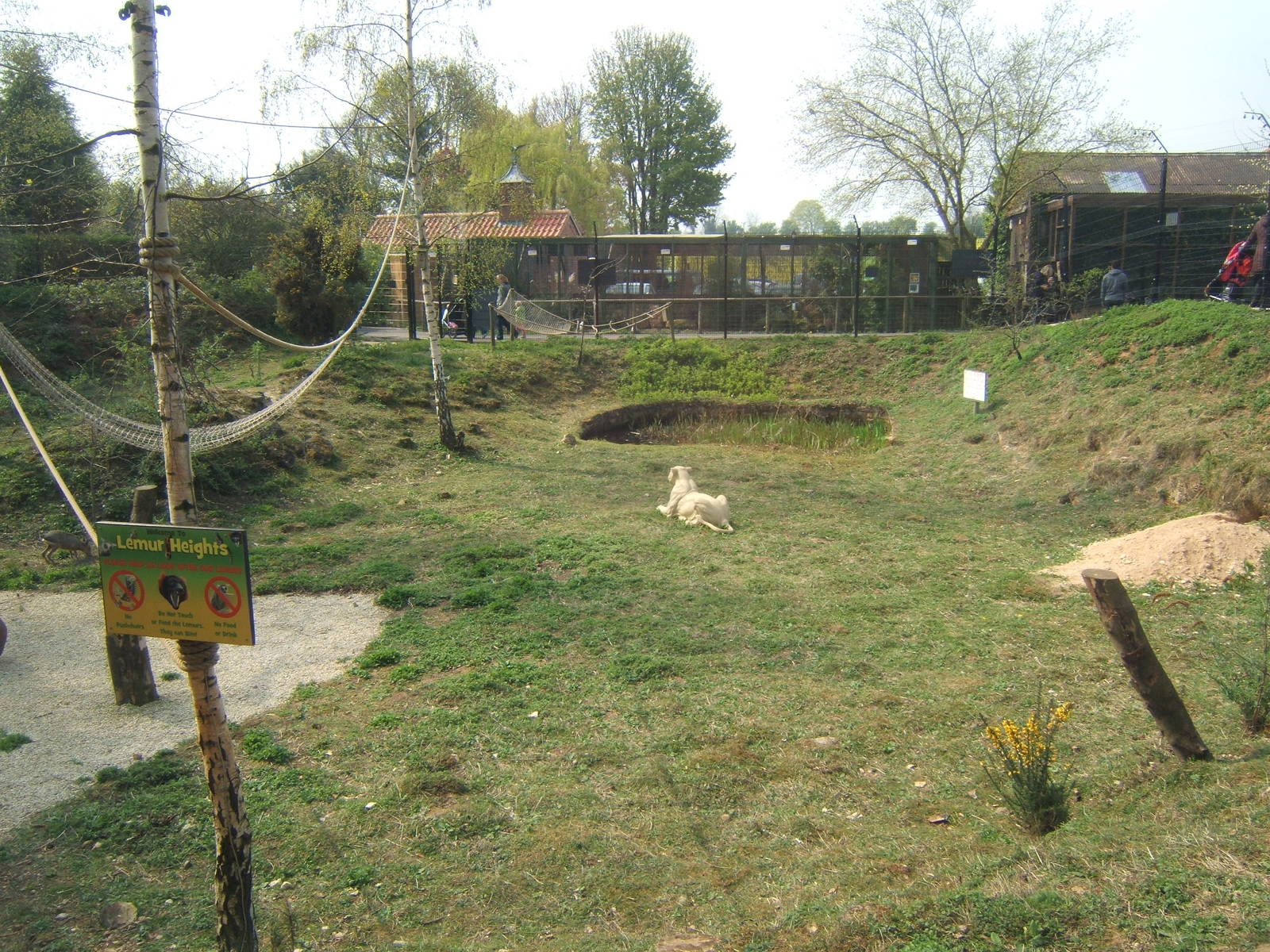View from inside the Lemur House of the Lemur exhibit