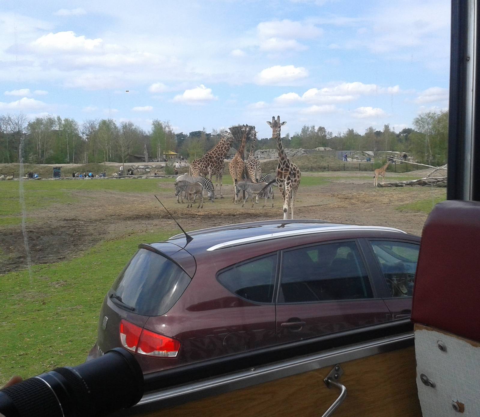 view from inside the safari-bus
