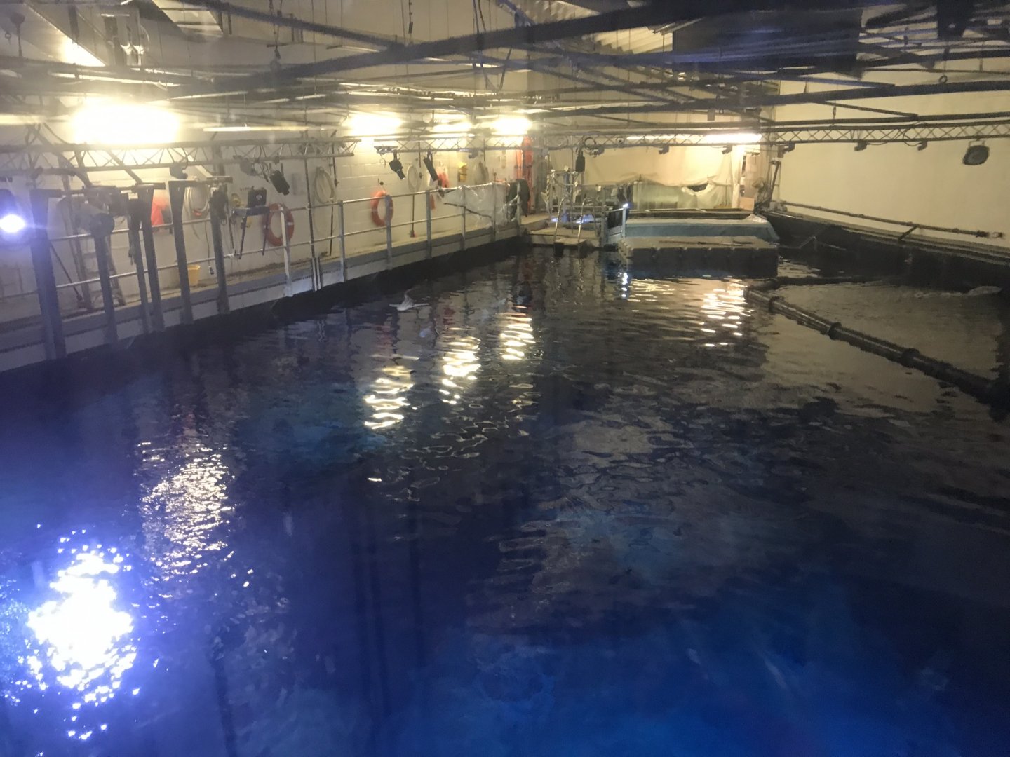 View from lift above Endless Ocean tank 260519