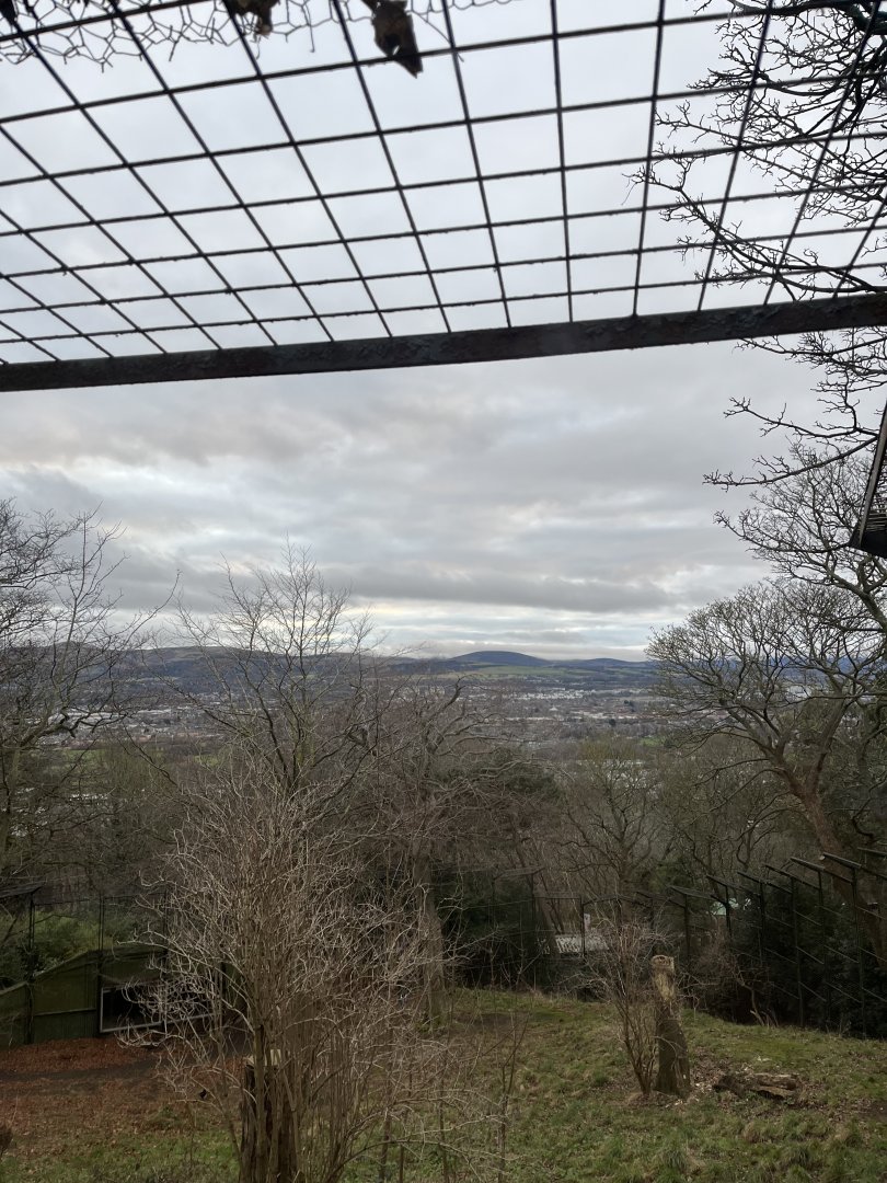 View from lion lookout 27.12.24