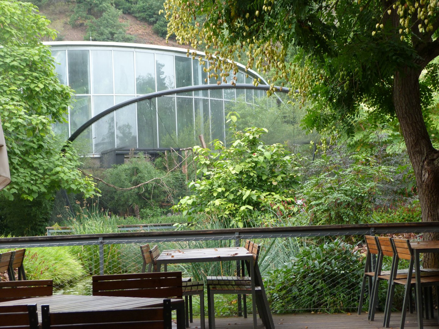 View from main restaurant -Zoo Praha (2025)