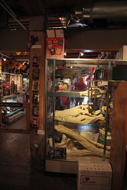 view from museum to gift shop