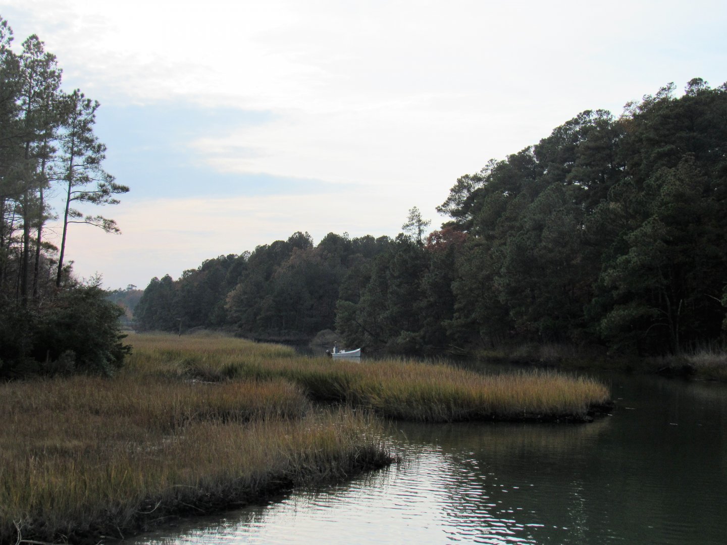 View from nature walk