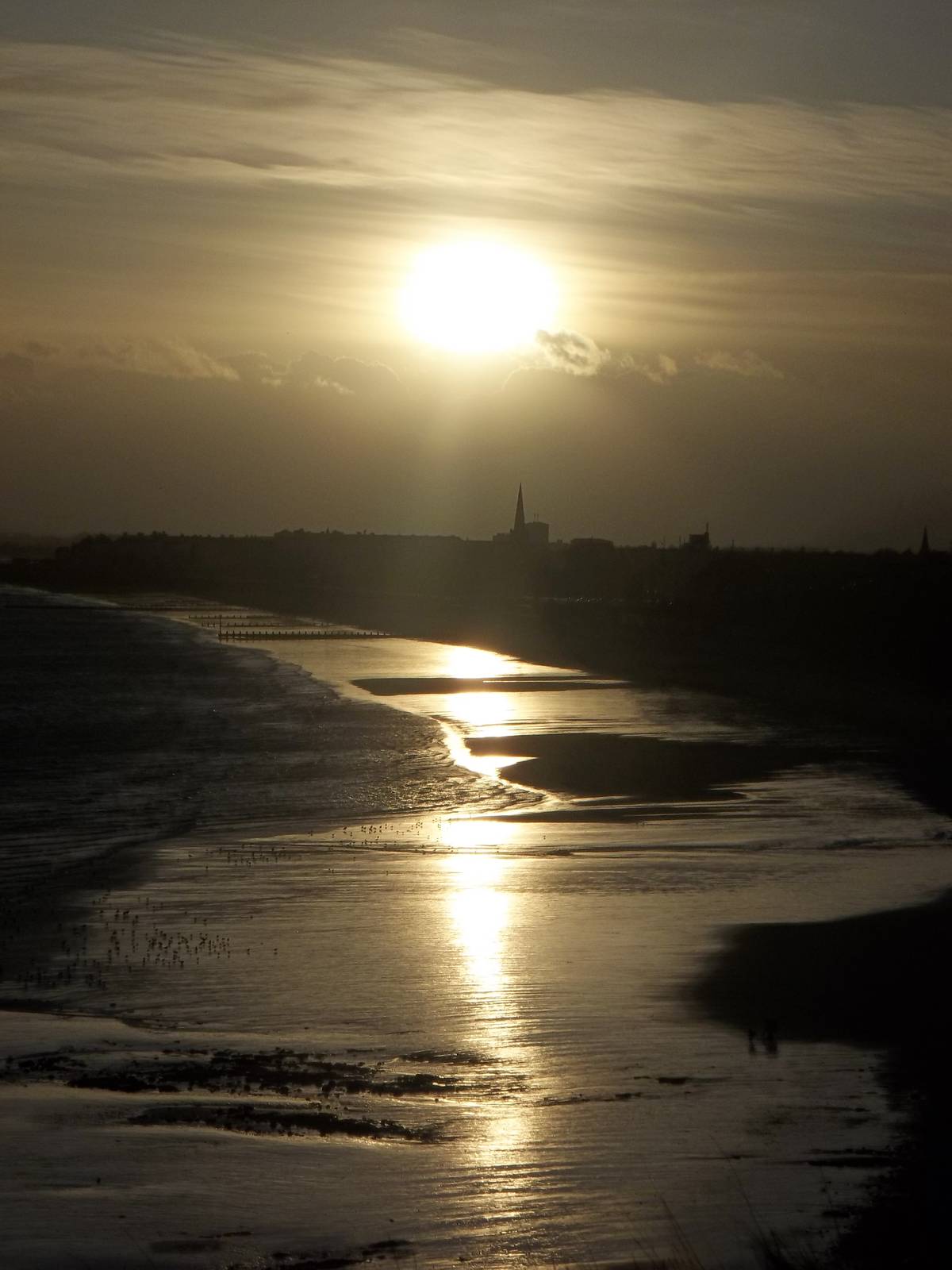 View from near clifftop paddocks, 11th December 2014