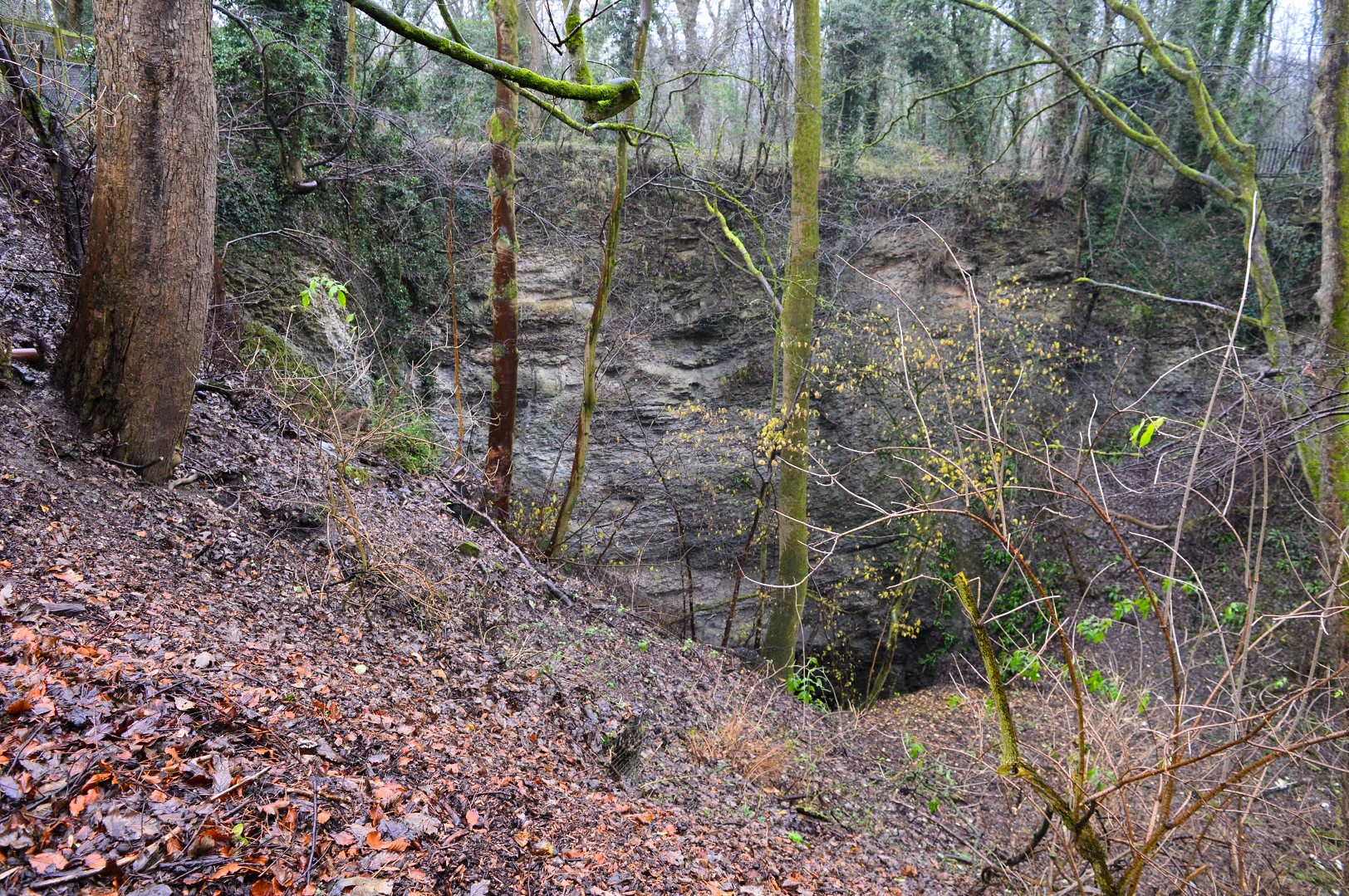 View from new picnic area.