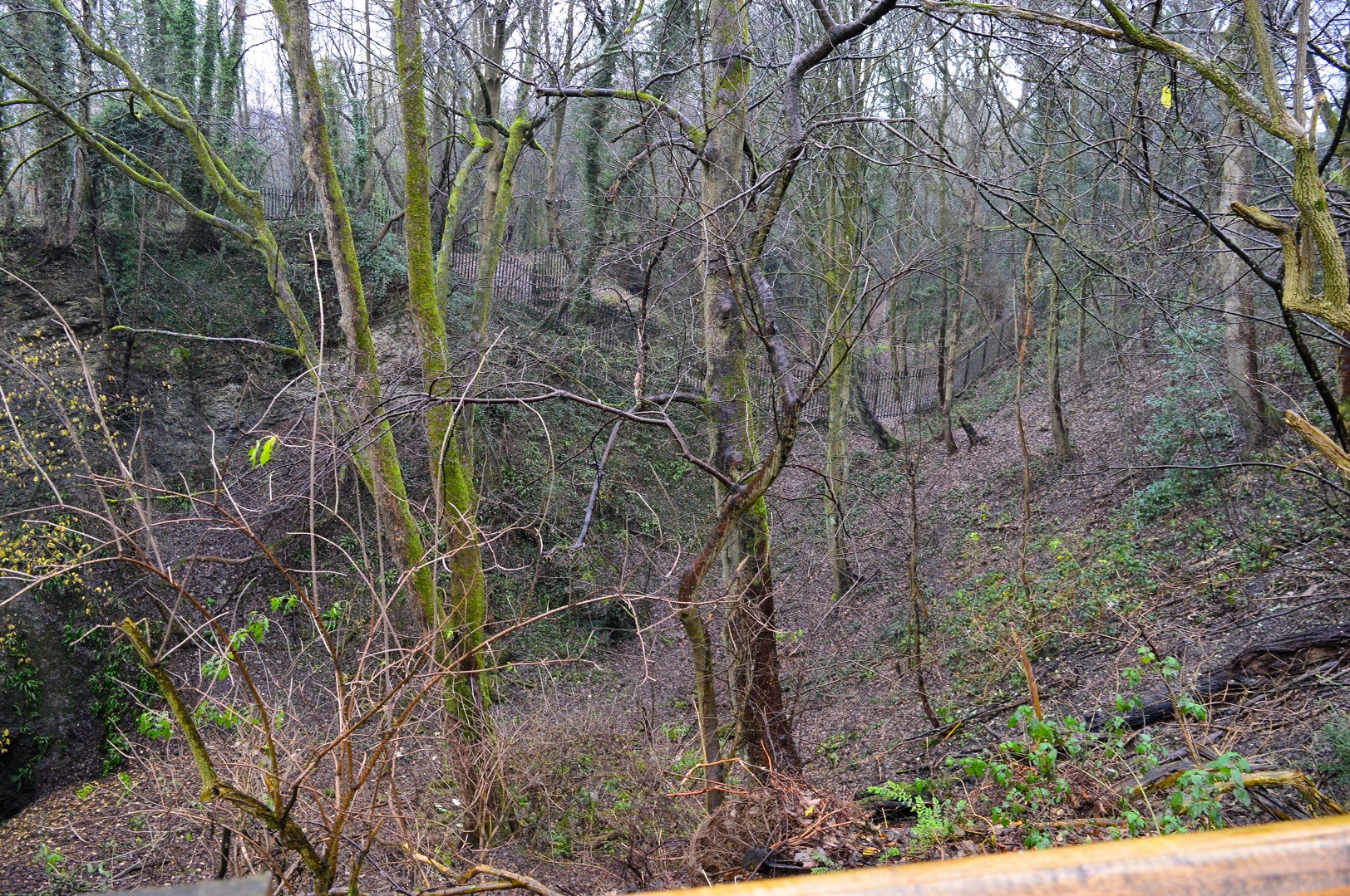 View from new picnic area.