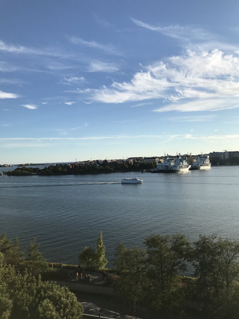 View from observation tower