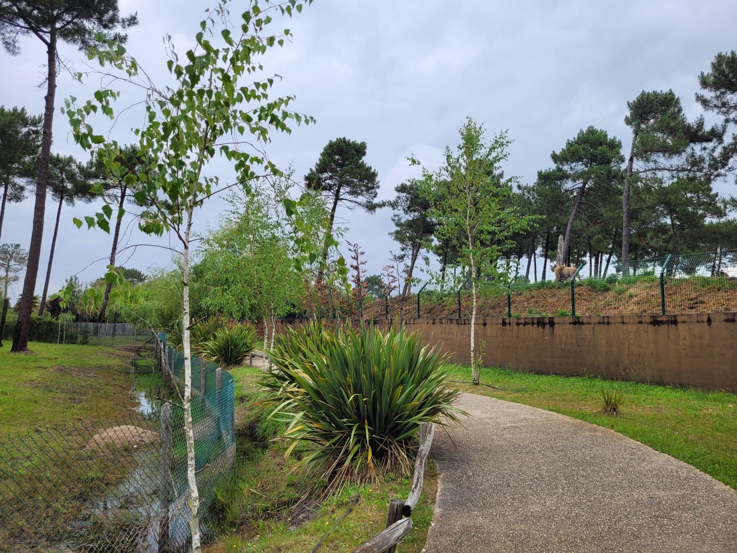View from okapi exhibits -Zoo du bassin d'Arcachon (2024)