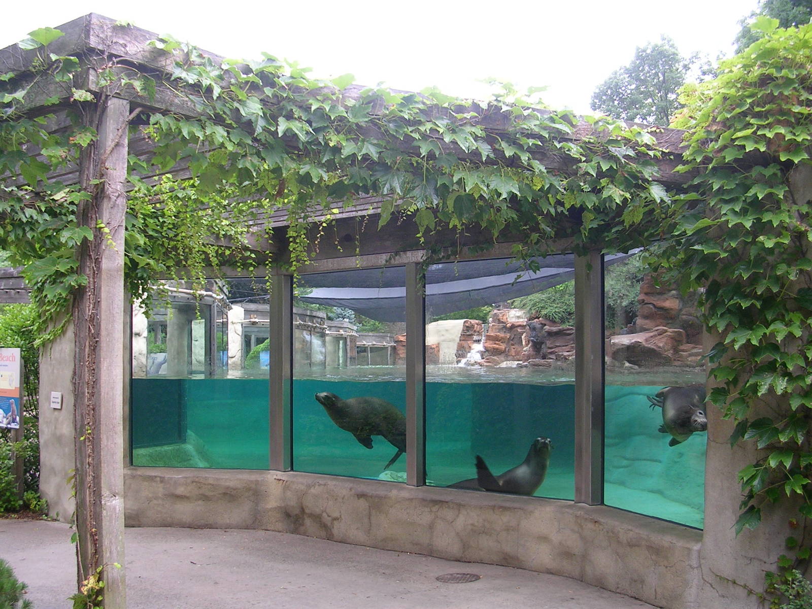 View from opposite end of sea lions