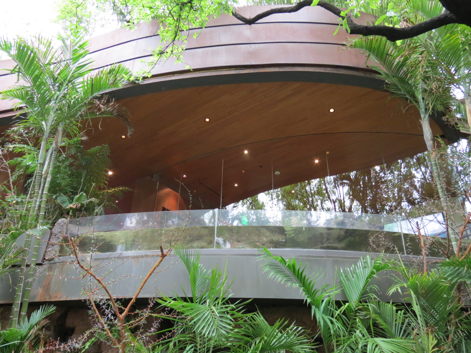 View from Outdoor Courtyard - Fairy Penguin Exhibit and Lobby