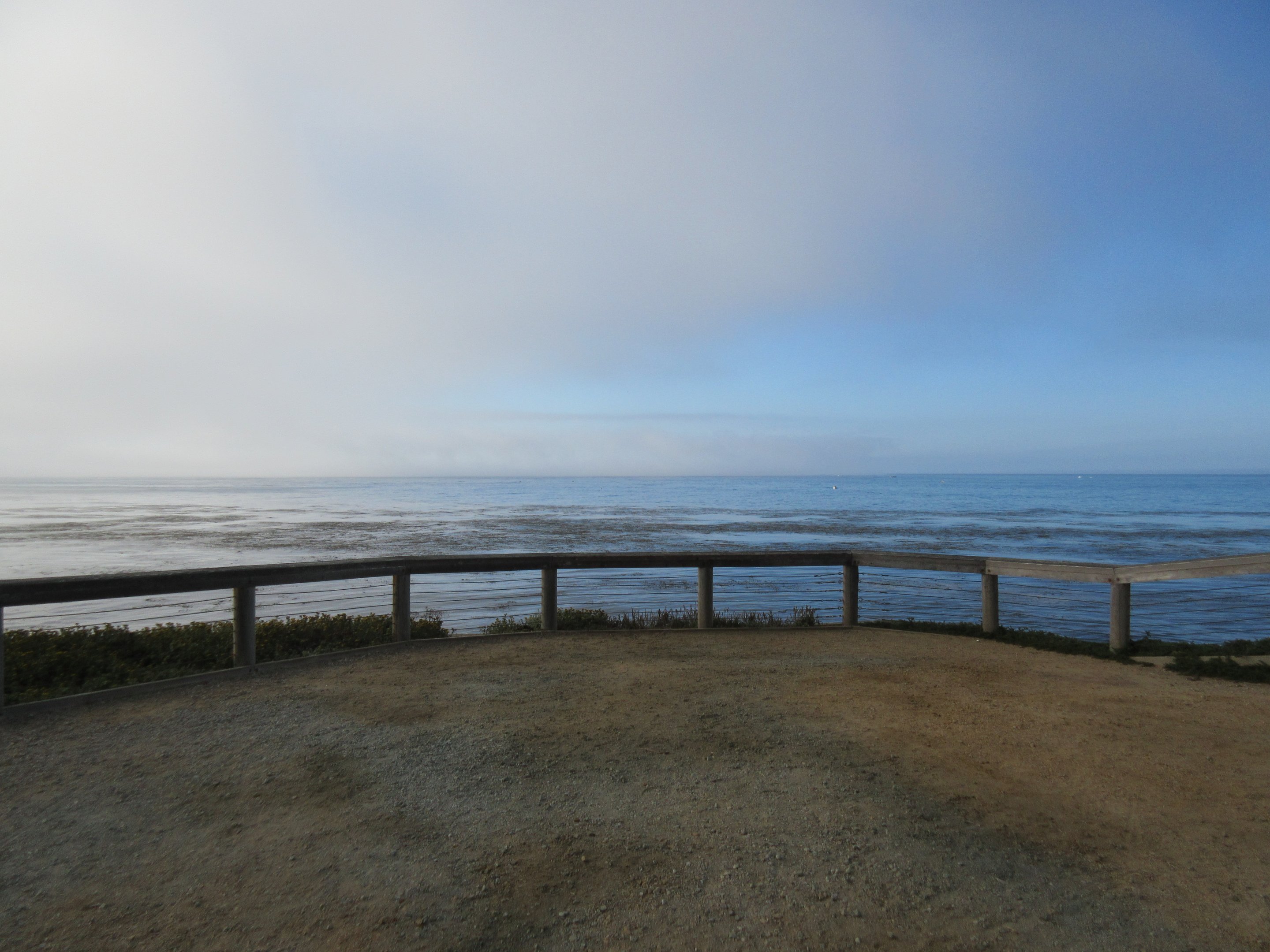 View from outside aquarium