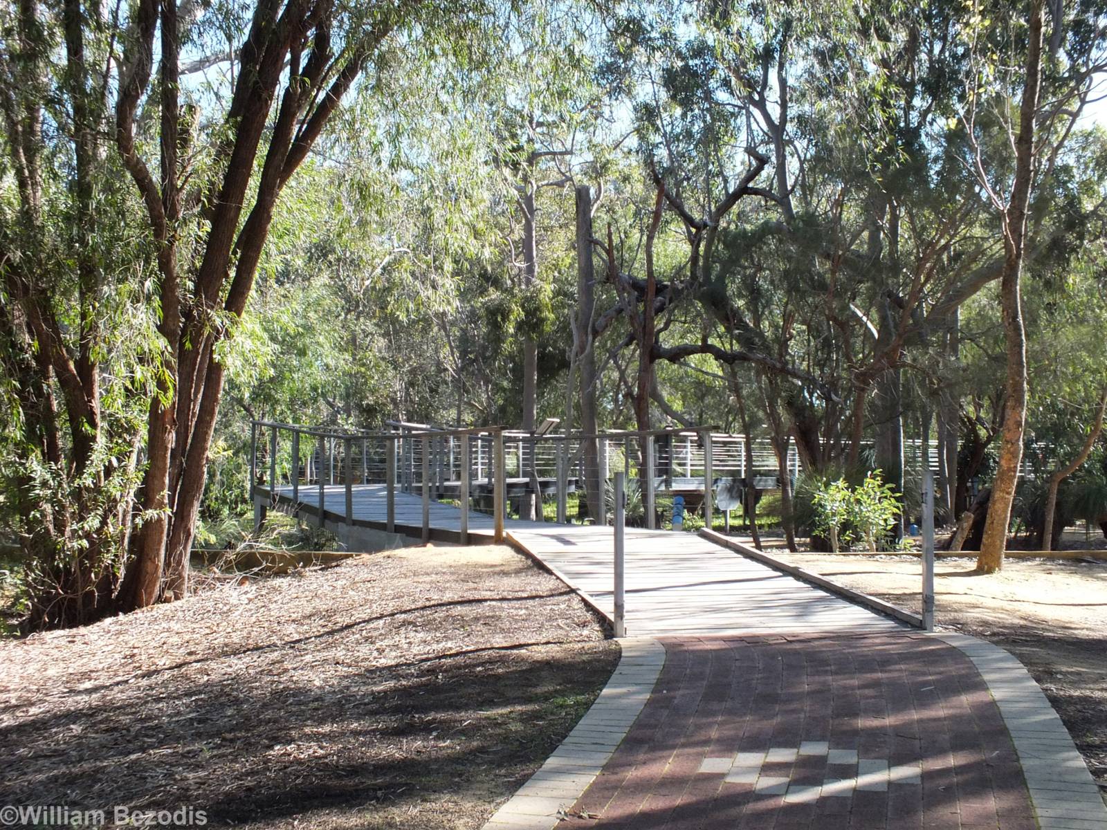 View from Outside - Yanchep National Park Koala Enclosure