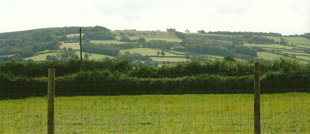 View from paddocks area 11th September 2012