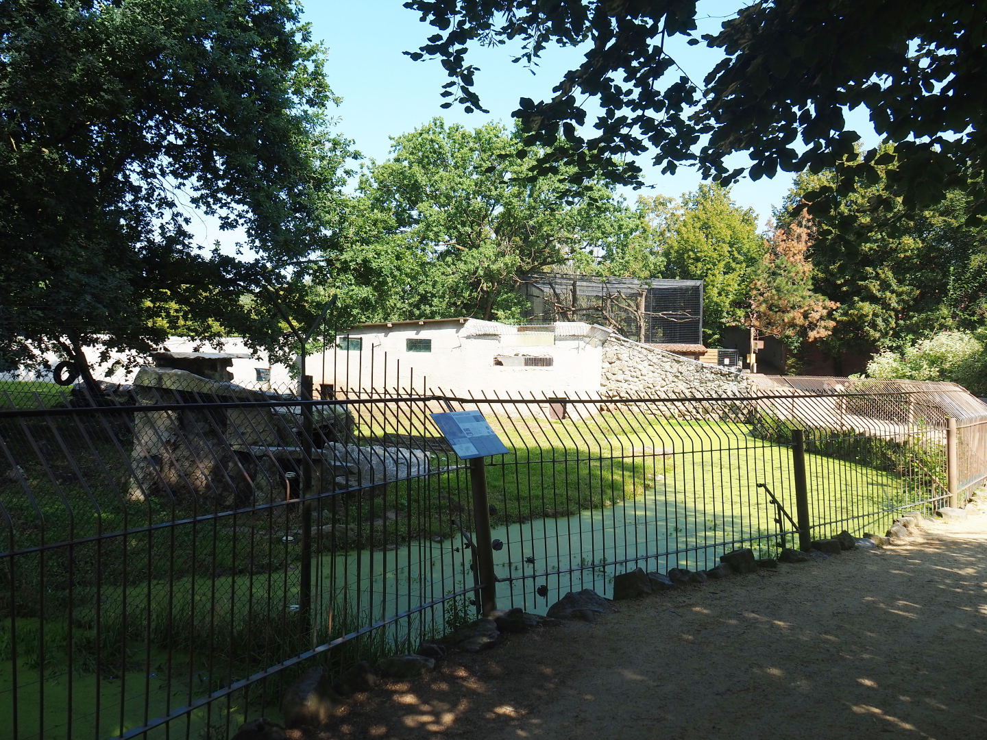 View from pathway into African lion exhibits, 2019-08-04