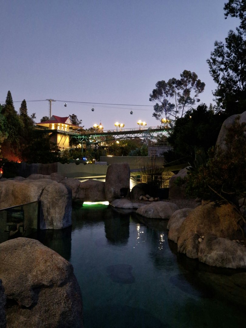View from penguin enclosure