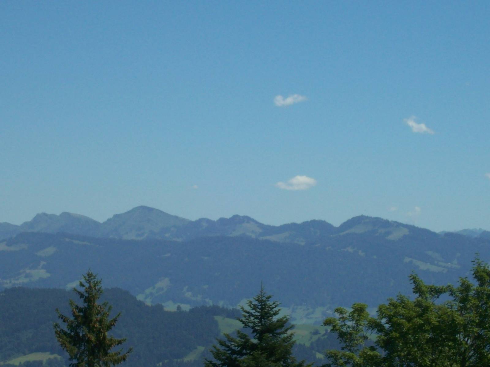 view from pfandzer wildlife park