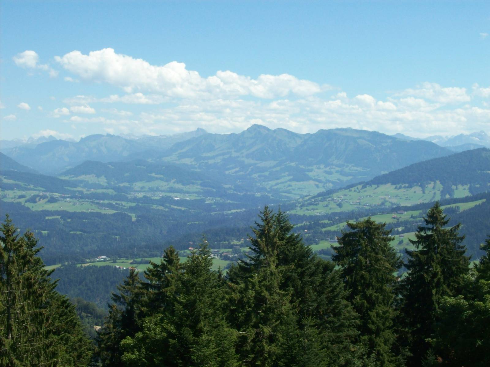 view from pfandzer wildlife park