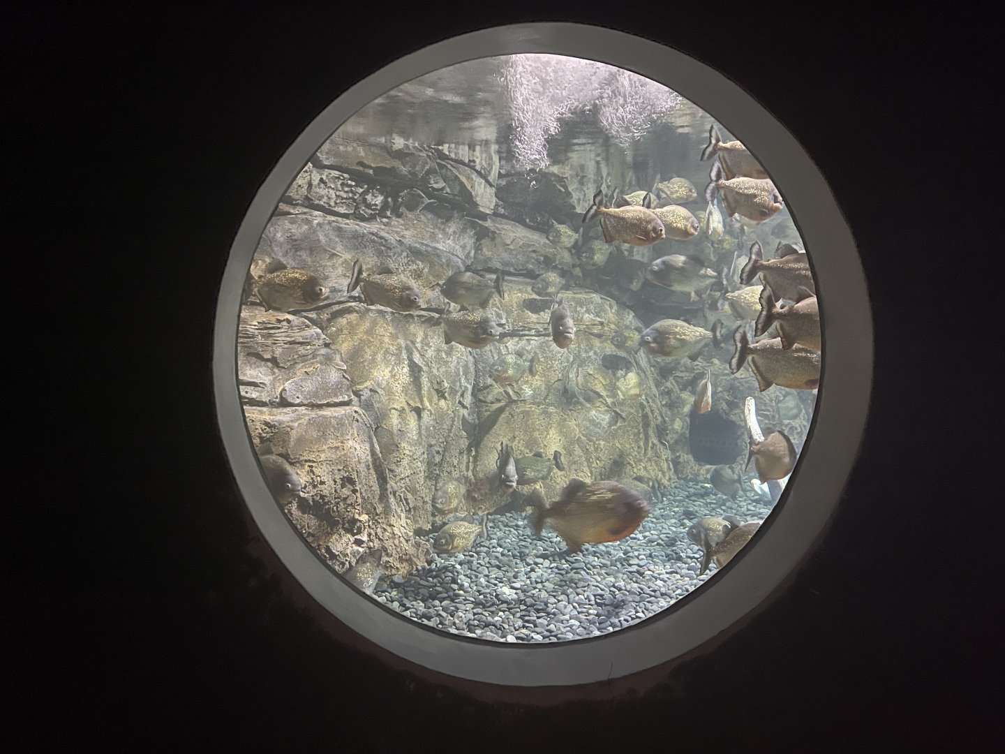 view from piranha cave