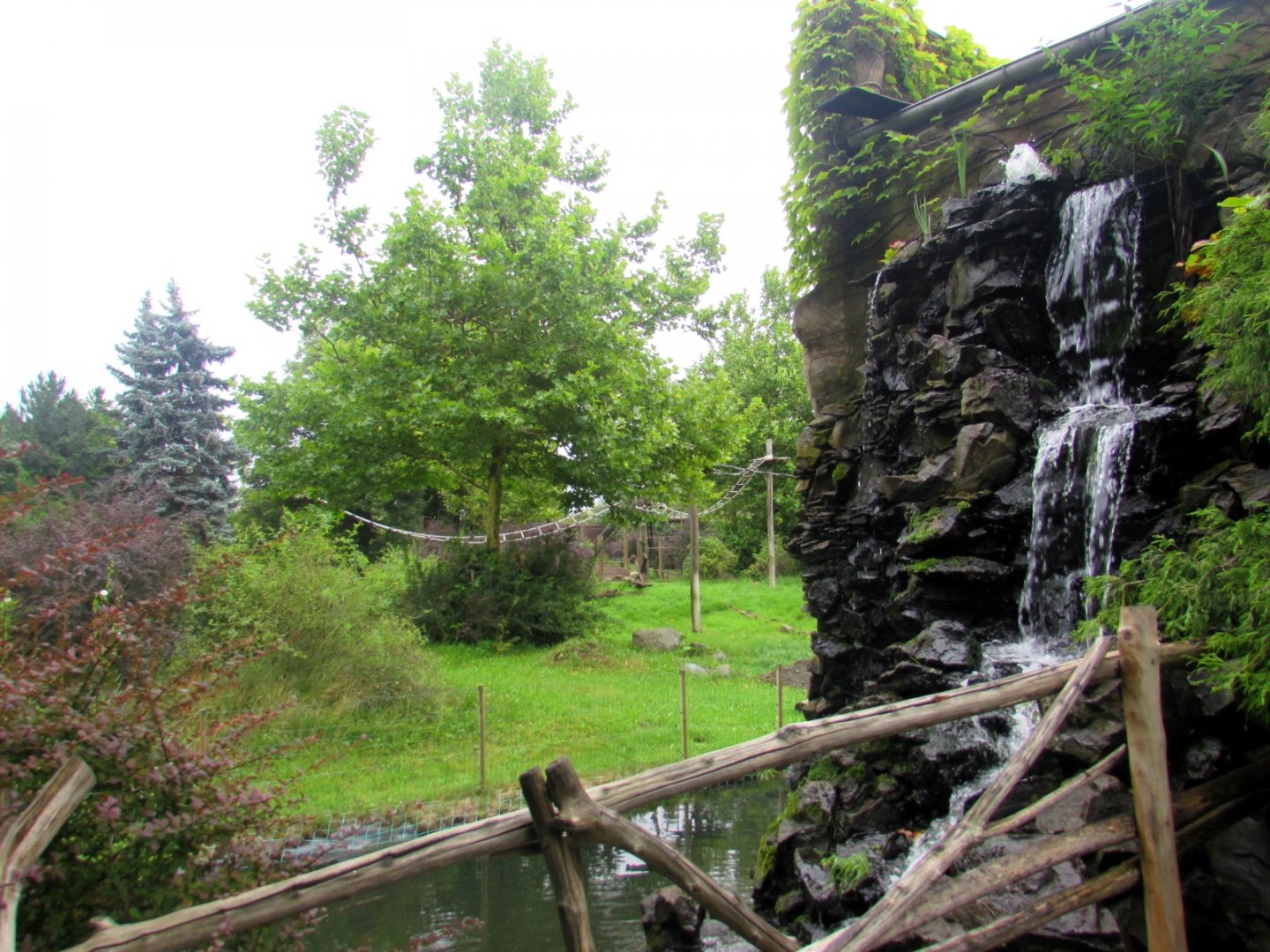 View from platform to Gorilla nad Guereza Island