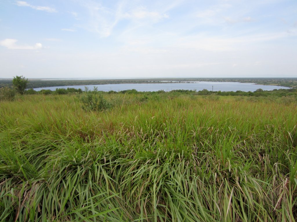 View from Queen's Pavilion