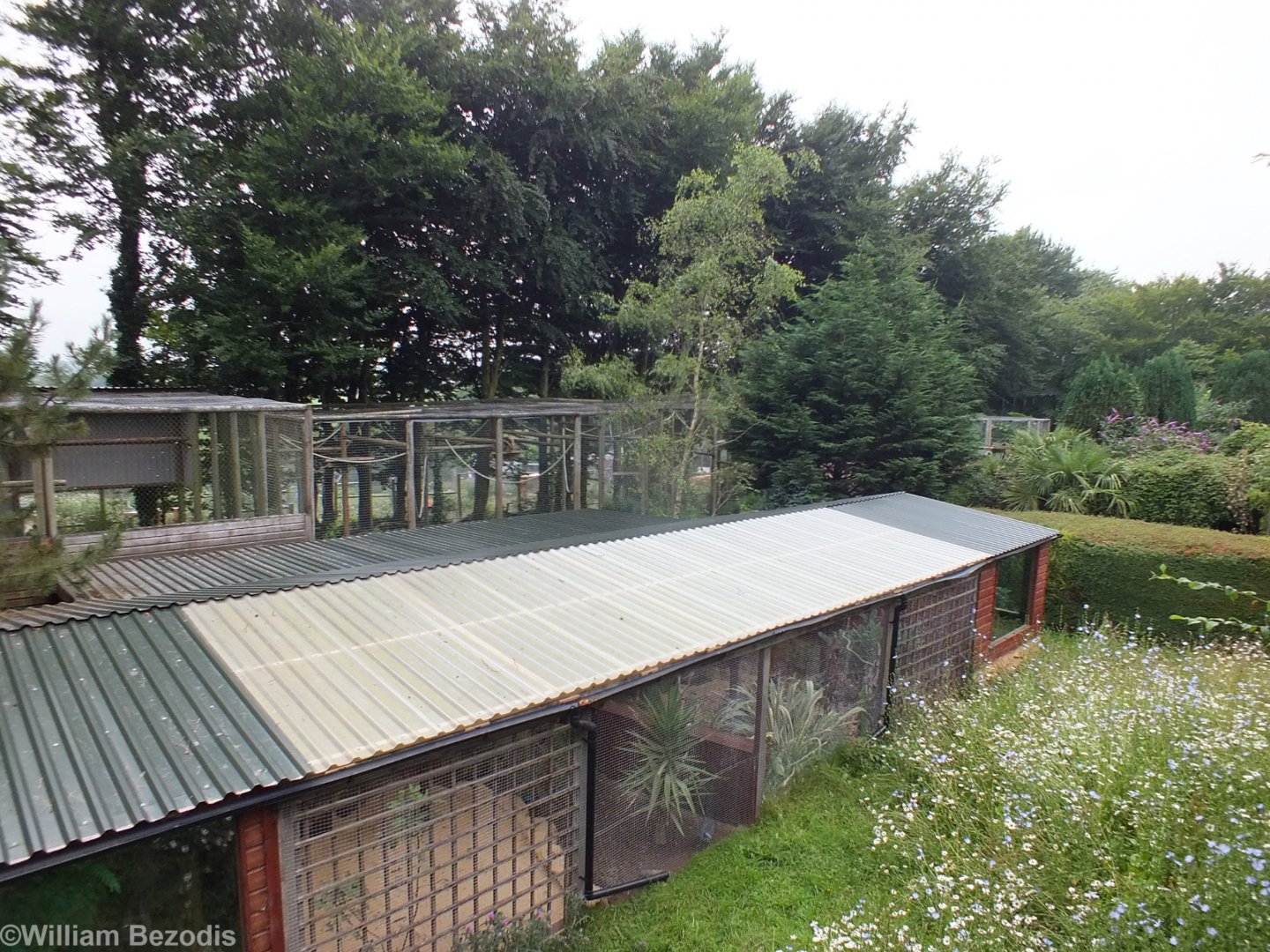 View from Raised Leopard Viewing over Small Bird Aviaries (foreground) and Gibbon and Vulture Enclosures (behind)