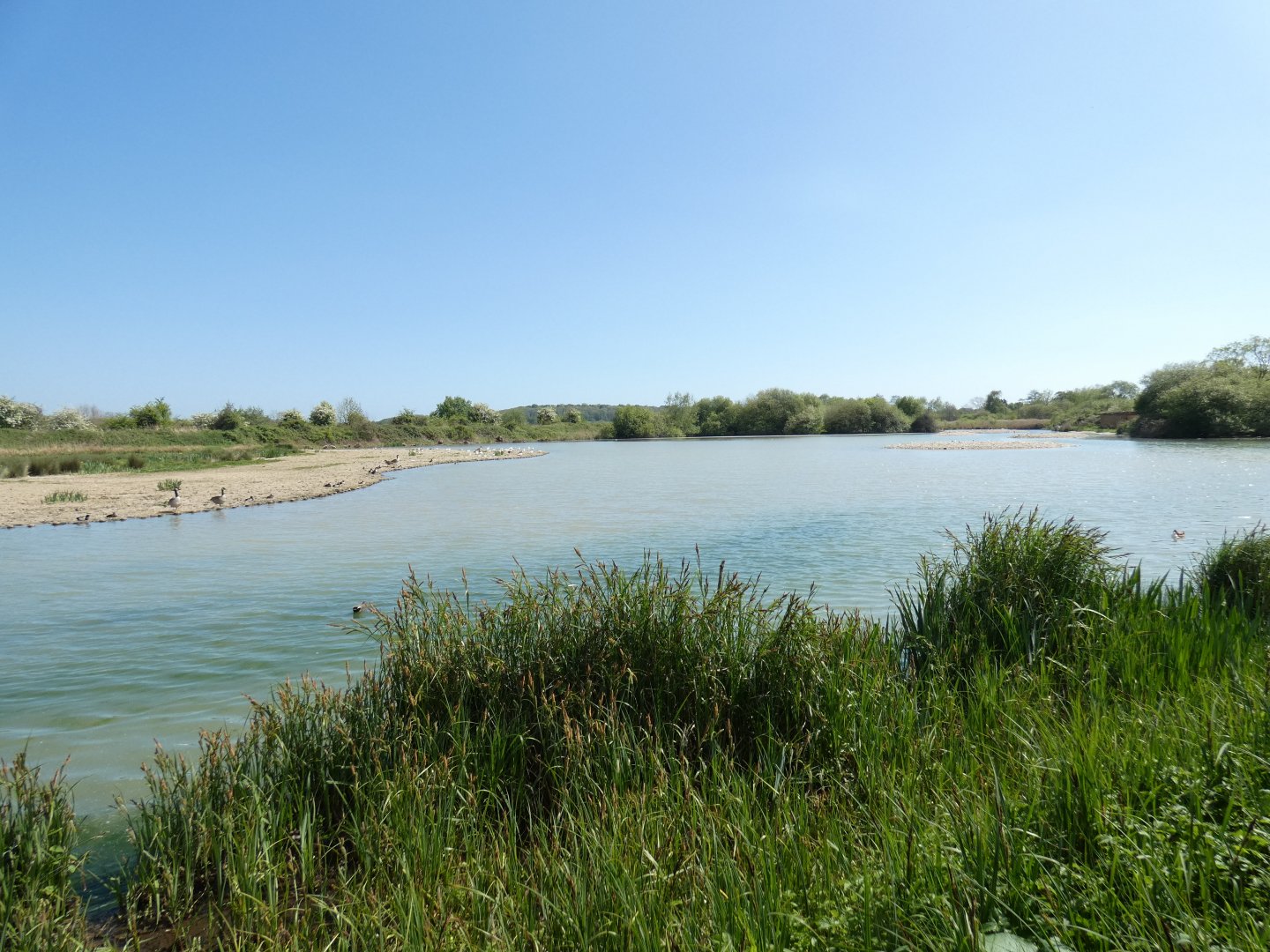 View from Ramsar Hide