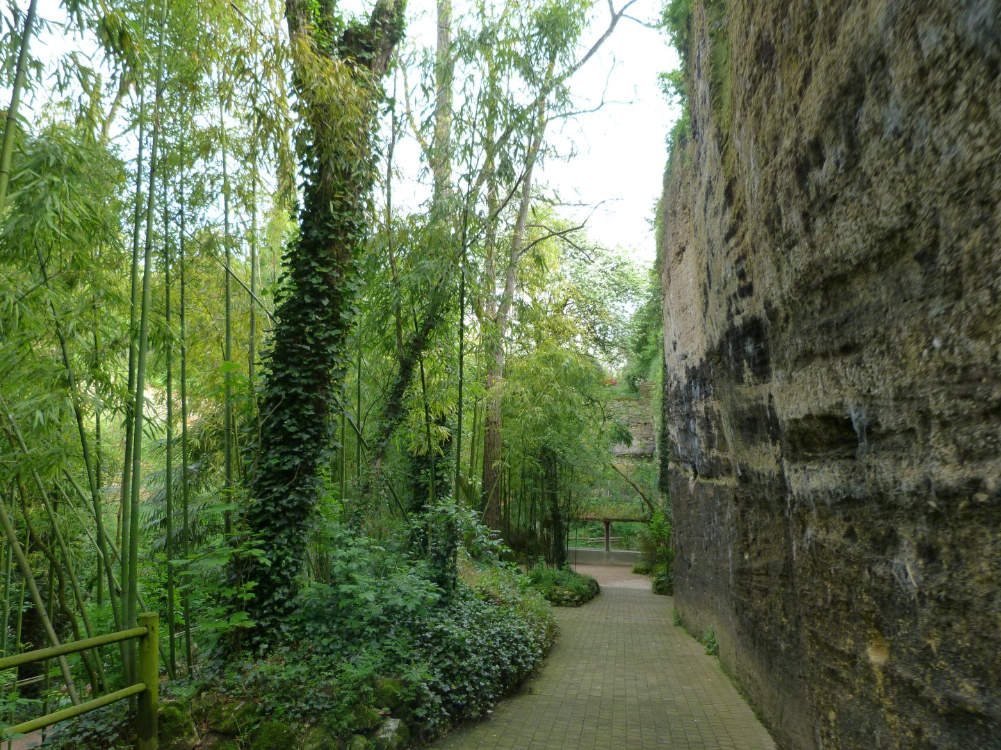 View from red panda exhibit -Bioparc de Doué la Fontaine (2025)