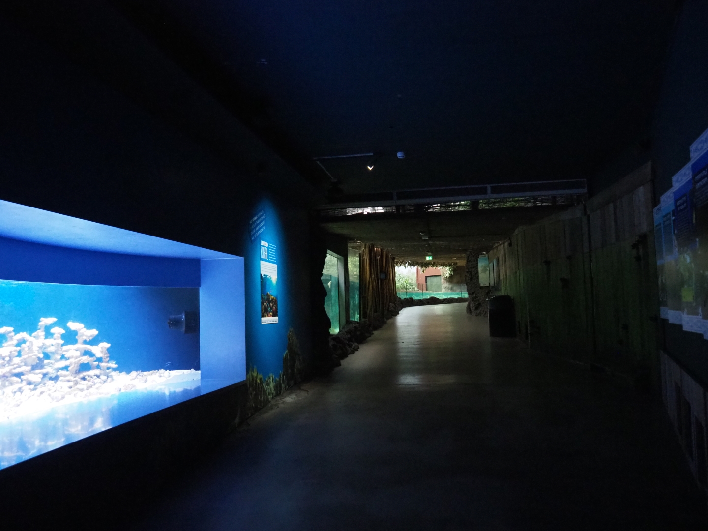 View from reef tanks towards Caribbean area in Oceanium (Nov 10th, 2018)