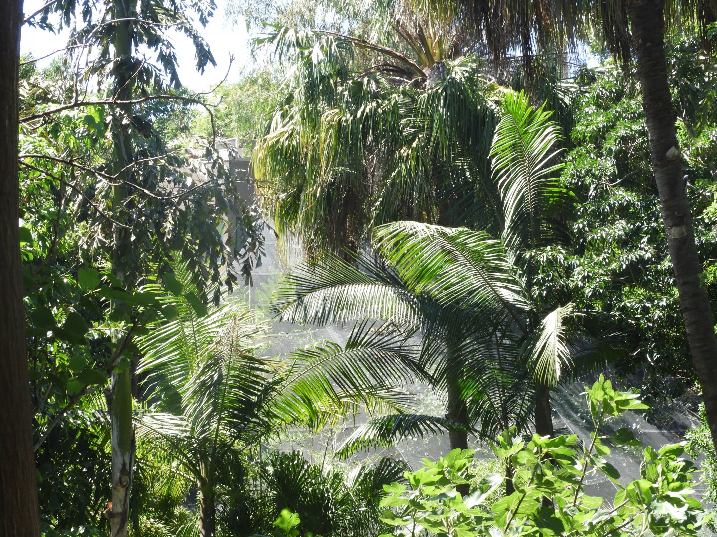 View from reptile walk